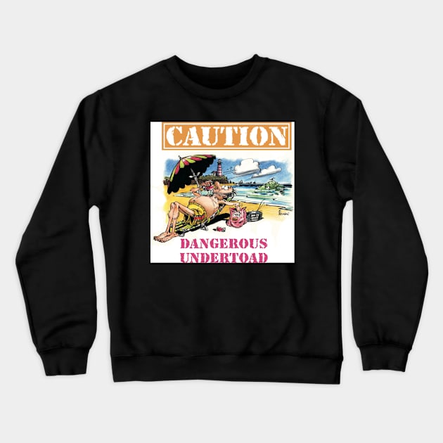 Ocean dangers Crewneck Sweatshirt by Steerhead